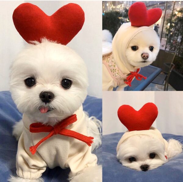 O1CN01VcOhYl1sqgxGwT7TM_6000000005818-0-cib.jpg Small And Medium-sized Dog Fruit Sweater Dog Cat Autumn And Winter Sweater Fleece Clothing Supplies Pet Teddy French Fight Banana